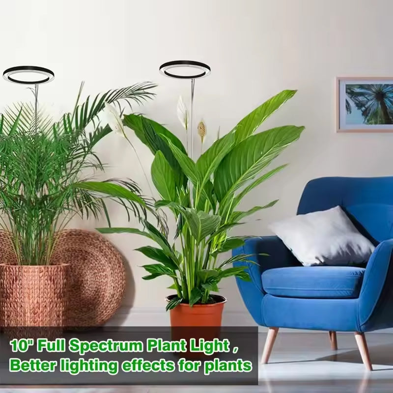 Adjustable Full Spectrum LED Grow Light Stand with Timer & Dimmer – 3 Modes, 10 Brightness Levels, Telescoping 8-65 in Height for Indoor | Thomler
