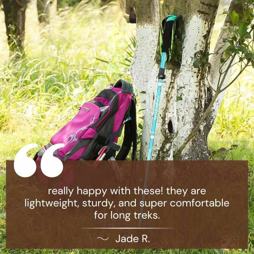 Collapsible Hiking Poles with Quick-Lock System – Lightweight Aluminum Trekking Sticks for Men & Women | Thomler
