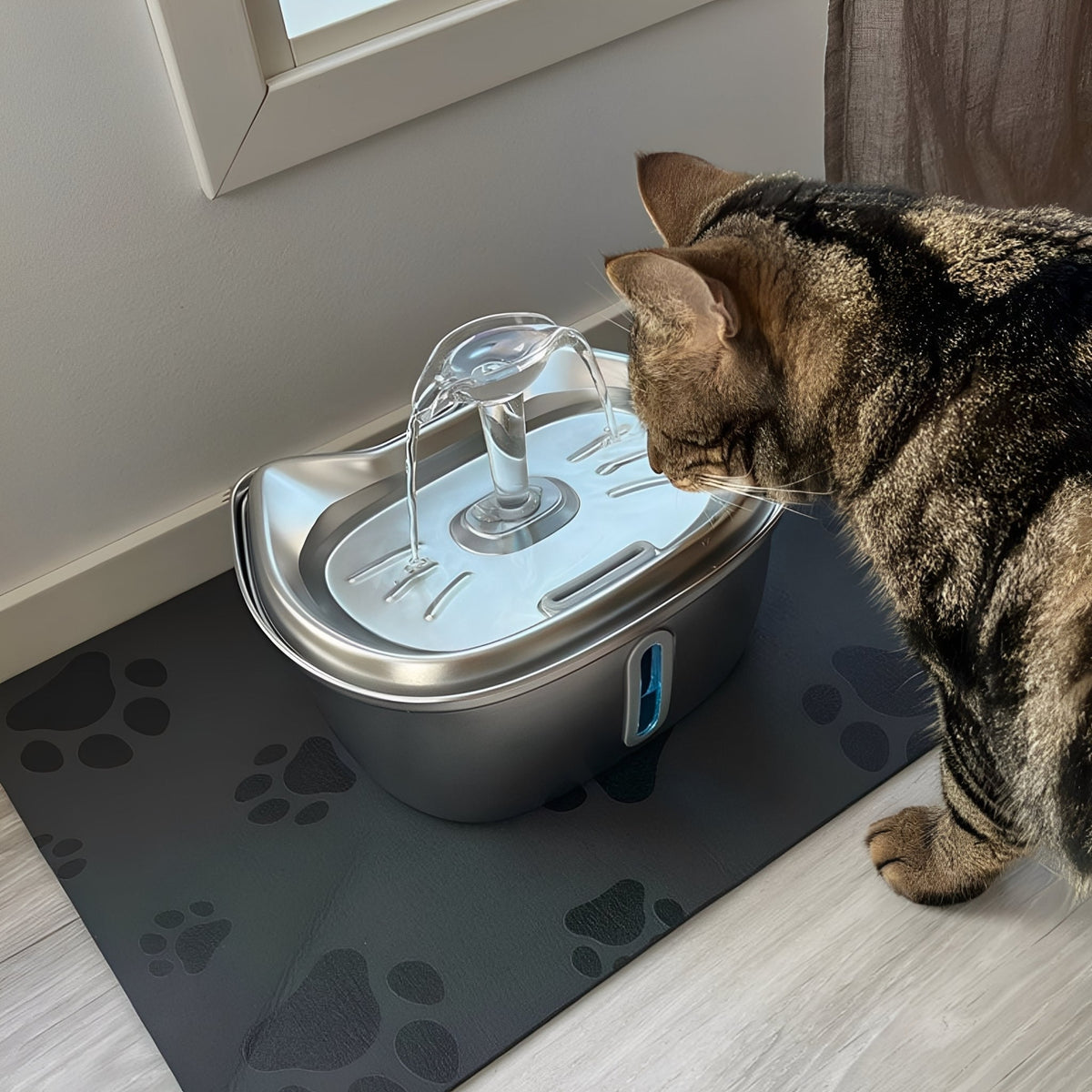 Stainless Steel Pet Water Fountain with Filter 3 Liter Automatic Flow for Cats & Small Dogs | Thomler