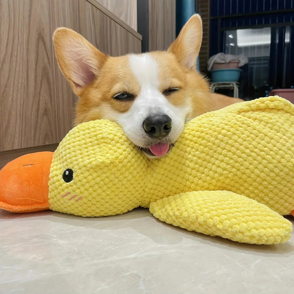 Dog Toy Plush Duck Quack Sound Soft Chew Tug Play Interactive Pet Toy | Thomler