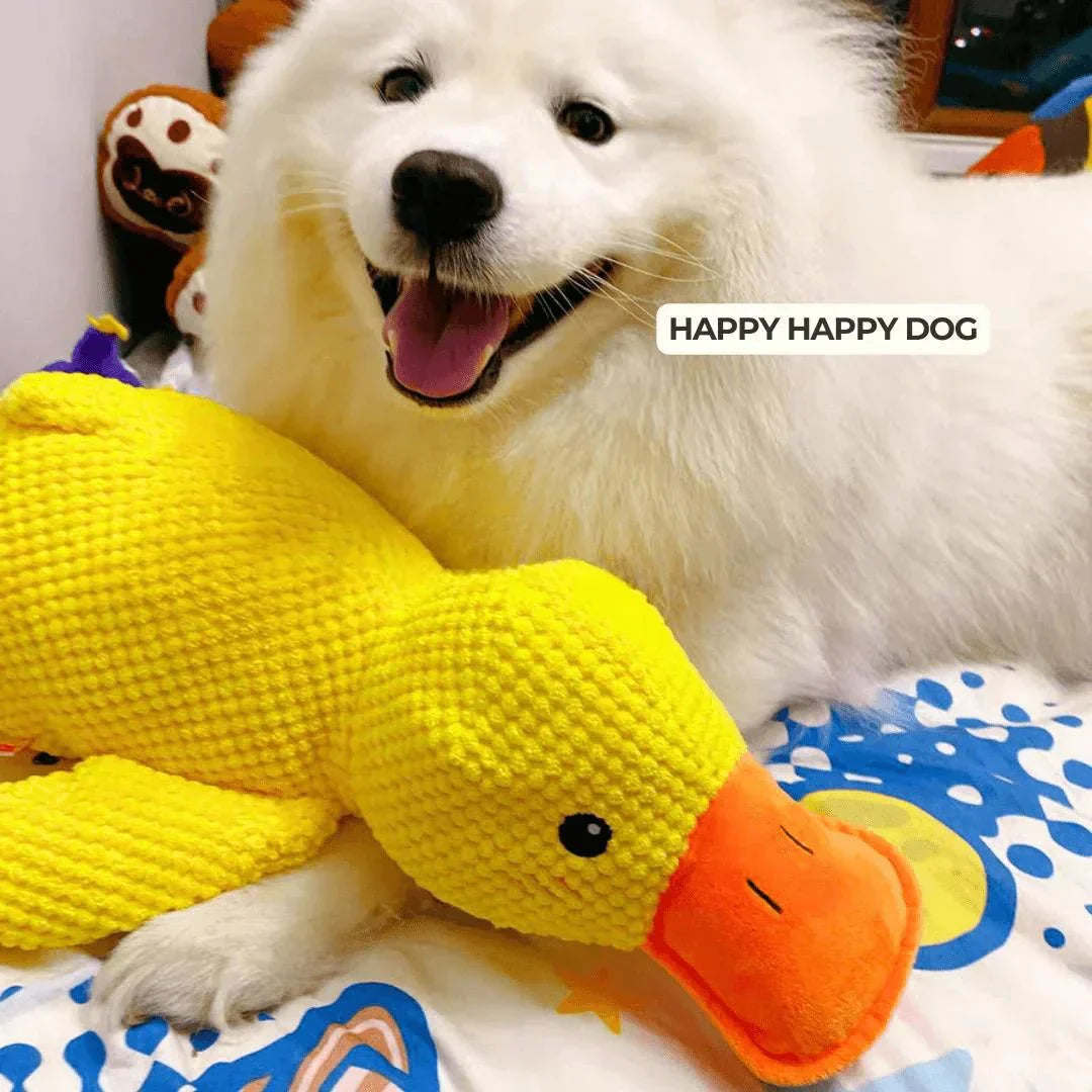 Dog Toy Plush Duck Quack Sound Soft Chew Tug Play Interactive Pet Toy | Thomler