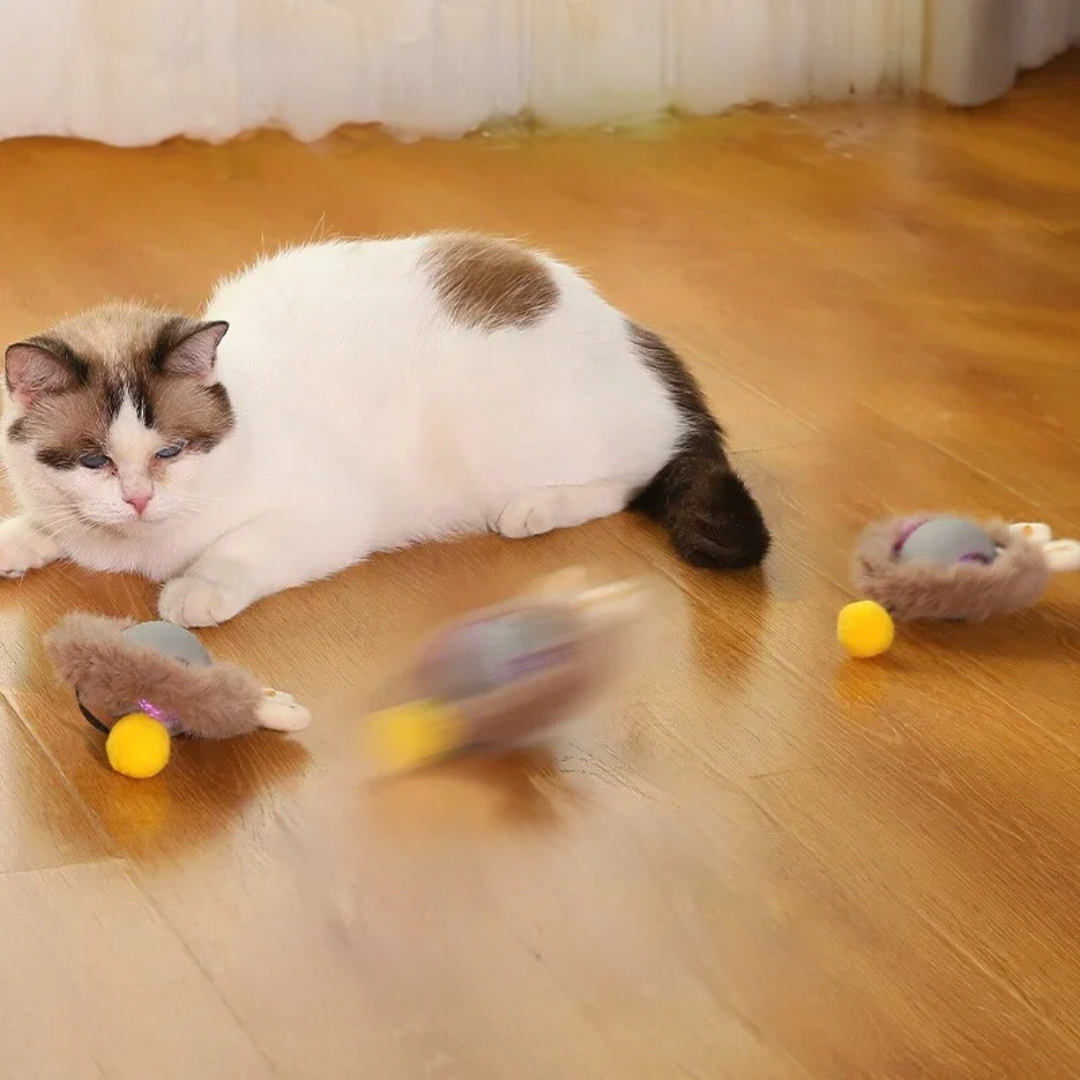 Self-Rolling Interactive Cat Toy with Wiggling Tail – USB Rechargeable Motion Toy for Indoor Cats | Thomler
