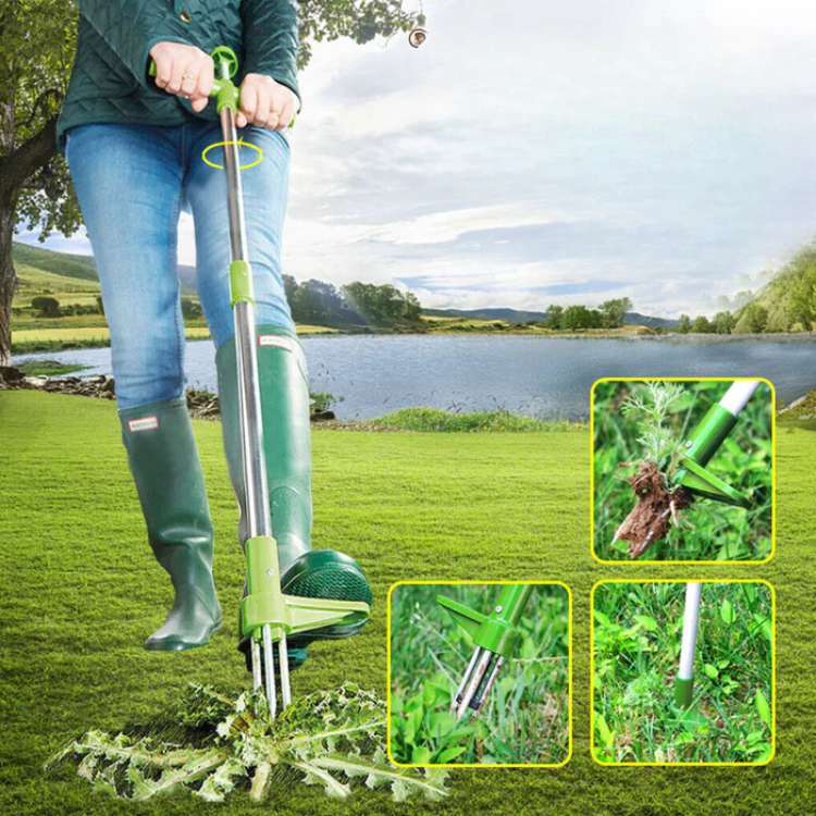 Stand-Up Weed Remover Tool with Root Extraction Claws for Lawns Gardens Flower Beds Patios Walkways Dandelion Thistle Removal | Thomler