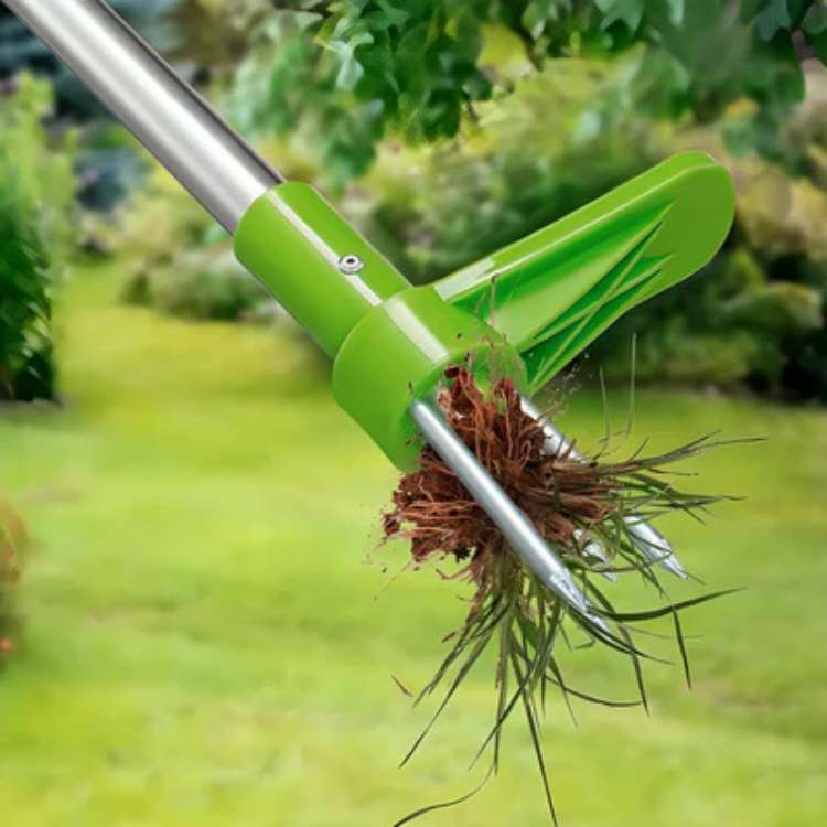 Stand-Up Weed Remover Tool with Root Extraction Claws for Lawns Gardens Flower Beds Patios Walkways Dandelion Thistle Removal | Thomler