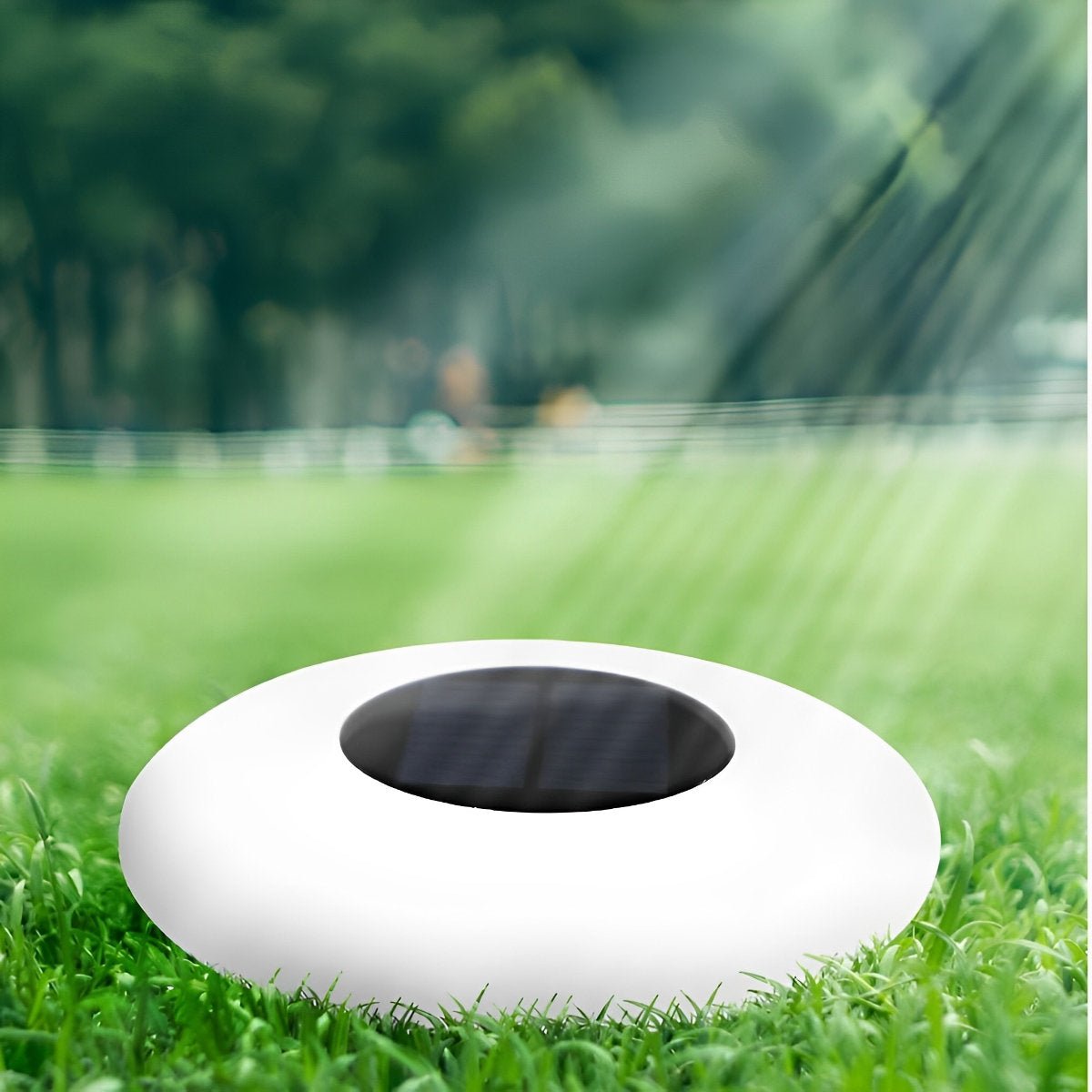 Floating Pool Light Solar Powered 32.0 cm RGB Waterproof Garden Pond LED Remote Control Outdoor Water Lamp | Thomler