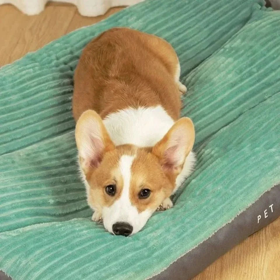 Orthopedic Dog Bed with Plush Cover - Memory Foam Support for Joint Relief & Comfort | Thomler