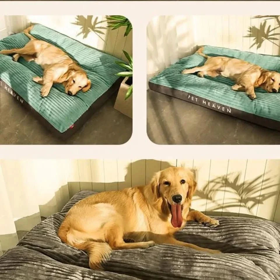 Orthopedic Dog Bed with Plush Cover - Memory Foam Support for Joint Relief & Comfort | Thomler
