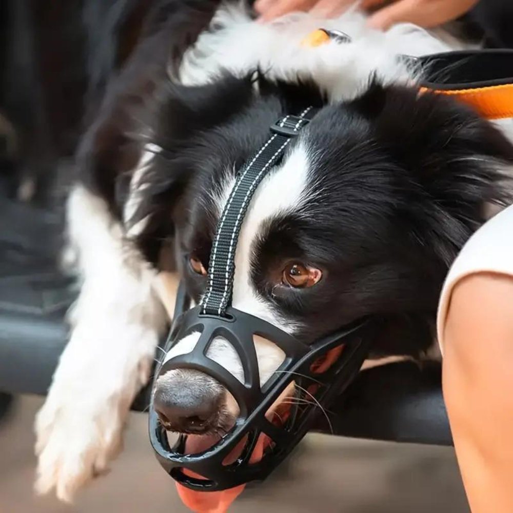 Breathable Mesh Dog Muzzle for Small to Extra Large Dogs | Adjustable Pet Safety Guard Prevents Biting Barking Chewing | Comfortable Lightwe | Thomler