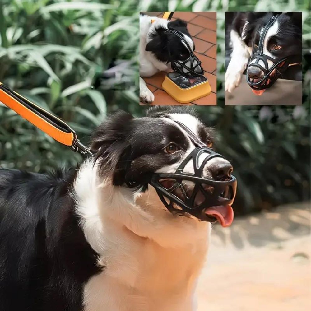 Breathable Mesh Dog Muzzle for Small to Extra Large Dogs | Adjustable Pet Safety Guard Prevents Biting Barking Chewing | Comfortable Lightwe | Thomler