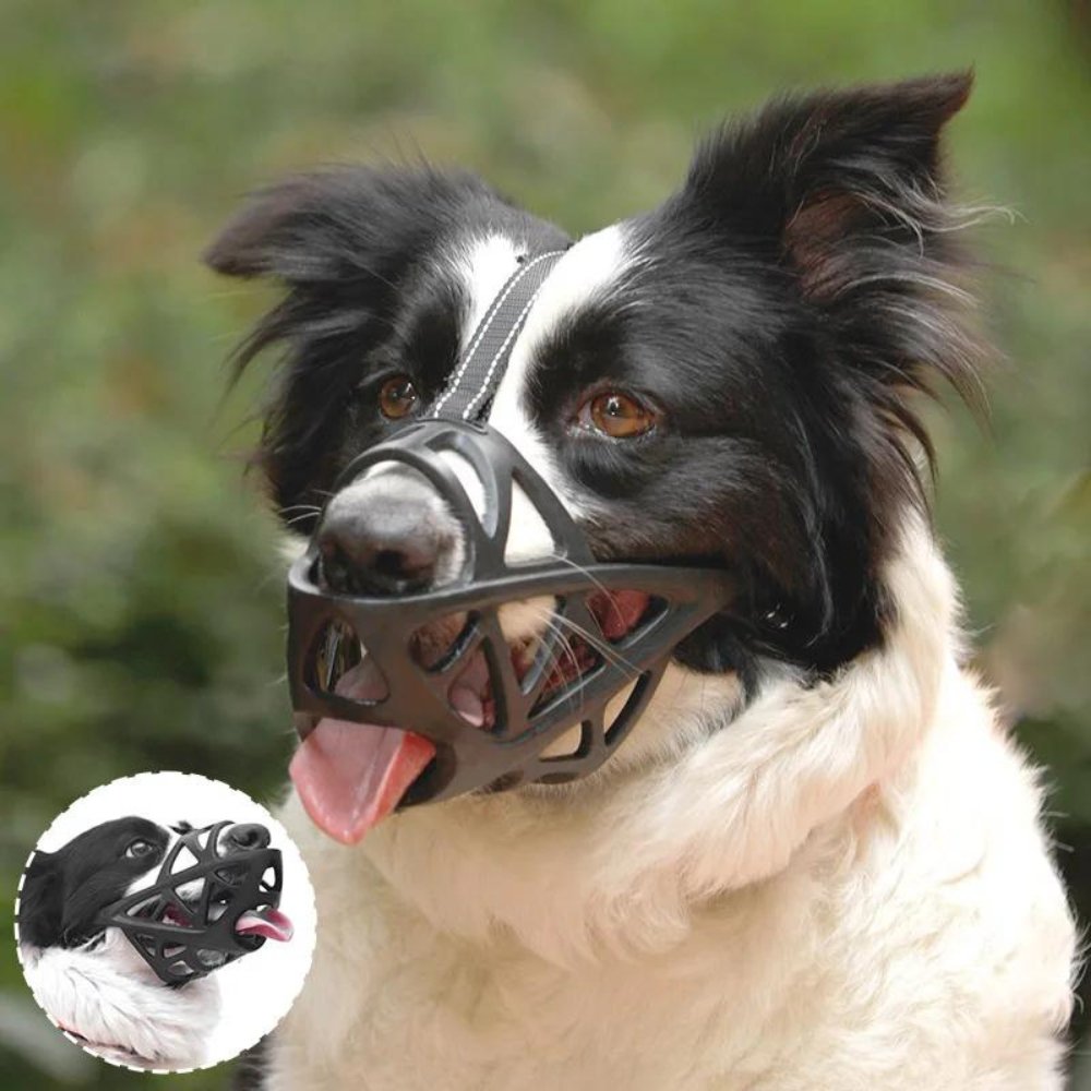 Breathable Mesh Dog Muzzle for Small to Extra Large Dogs | Adjustable Pet Safety Guard Prevents Biting Barking Chewing | Comfortable Lightwe | Thomler