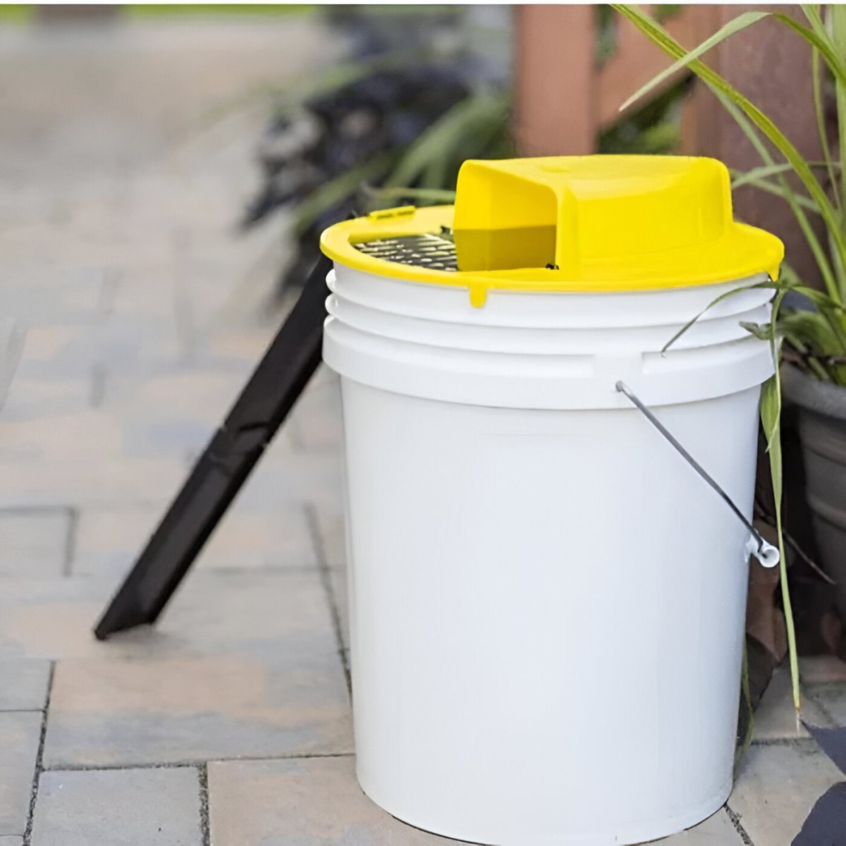 Auto-Reset Rodent Trap with Tipping Platform for Bucket – Reusable Hands-Free Mouse & Rat Catcher for Home, Garage & Barn | Thomler