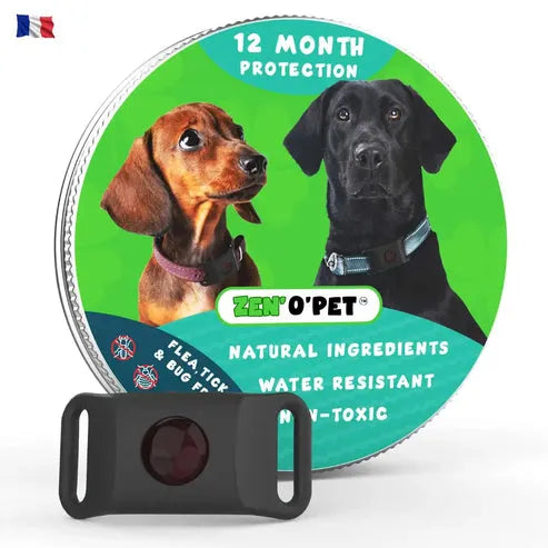 Flea and Tick Collar for Dogs – 8-Month Natural Protection for All Breeds & Sizes – Water-Resistant Adjustable Pest Repellent | Thomler