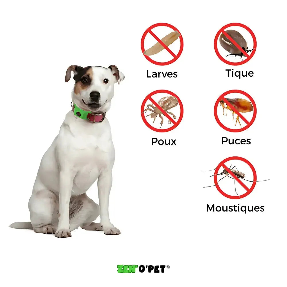 Flea and Tick Collar for Dogs – 8-Month Natural Protection for All Breeds & Sizes – Water-Resistant Adjustable Pest Repellent | Thomler