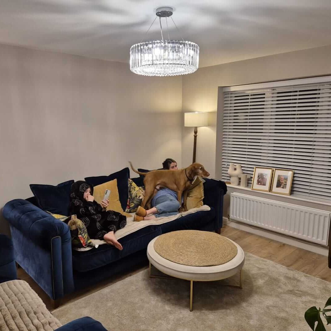 Kristallen Kroonluchter 6-Lichts Chroom Modern Rond 50cm Eetkamer Woonkamer | Sansoti