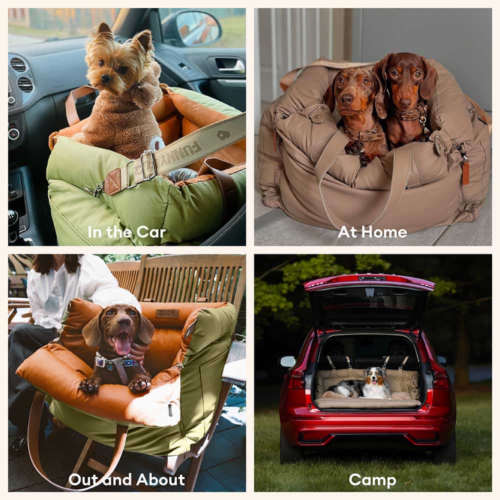 Pet Car Booster Seat Elevated Travel Bed for Small Dogs Cats Padded Safety Cushion with Leash Attachment Waterproof Faux Leather for | Thomler