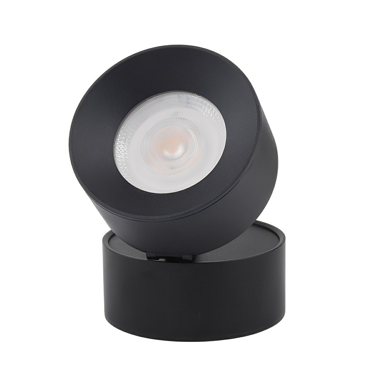 Wall Light Cast Aluminium 12W 8.0 cm Black Outdoor Adjustable Garden Porch LED Spotlight | Thomler