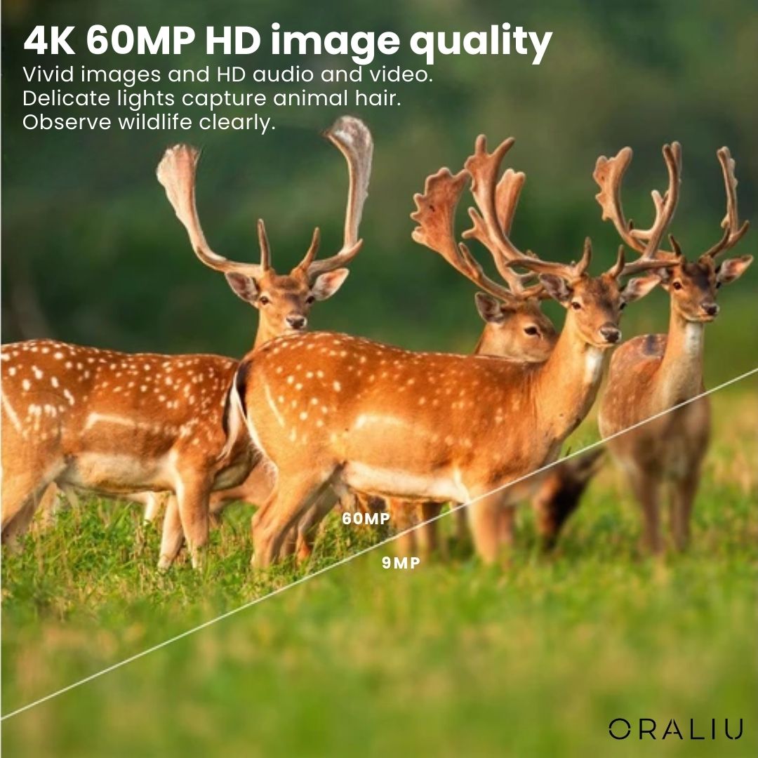 60MP Trail Camera with 4K Video Recording, Night Vision & Smartphone App – Waterproof Wildlife Monitoring System for Hunting, Property | Thomler