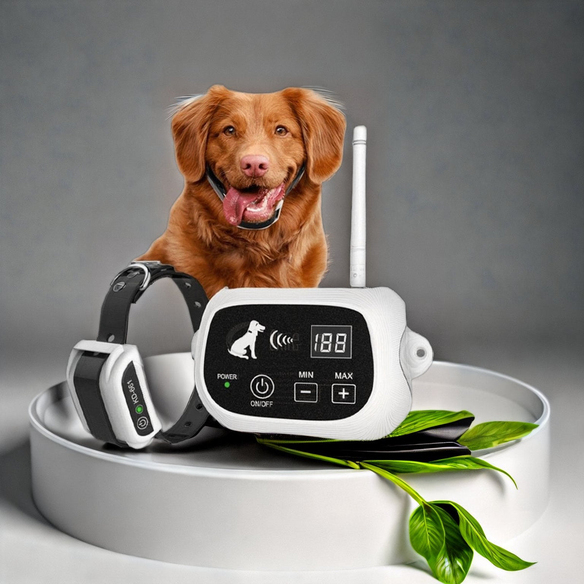 GPS-Free Pet Containment System with Rechargeable Receiver Collar for Dogs 10-110 lb | Thomler