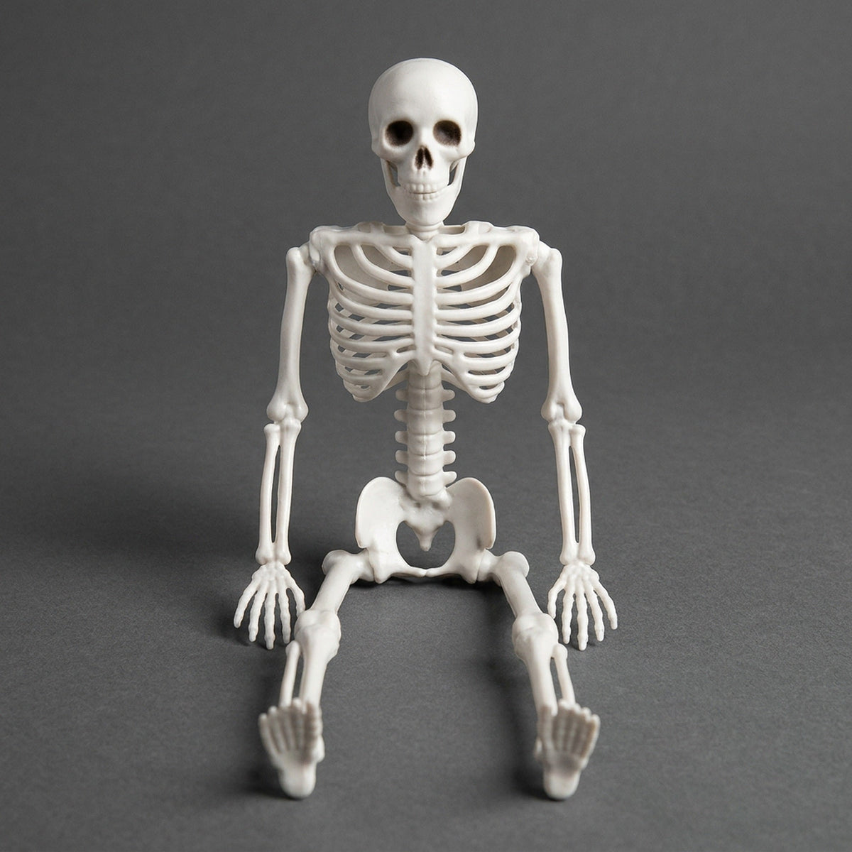 Articulated Tabletop Bone Figure – 16-Inch Movable Spooky Accent for Mantel, Shelf & Doorway Display – Adjustable Arms & Legs for Sitting | Thomler