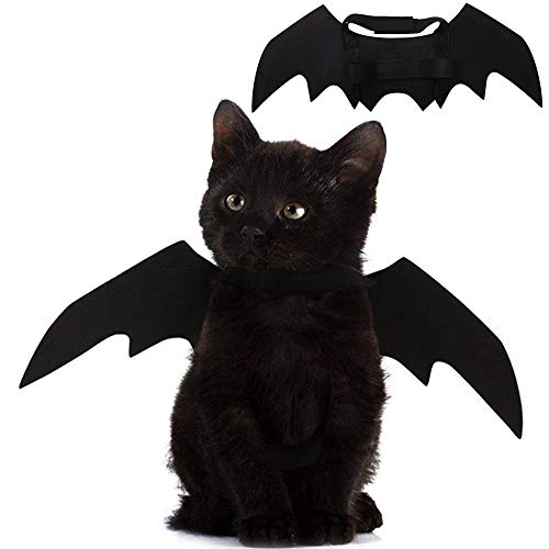 Pet Bat Wings Costume Accessory for Cats & Small Dogs – Halloween Dress-Up | Thomler