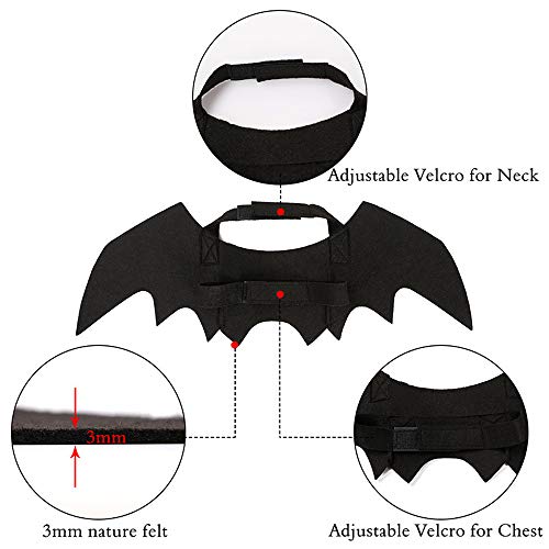 Pet Bat Wings Costume Accessory for Cats & Small Dogs – Halloween Dress-Up | Thomler