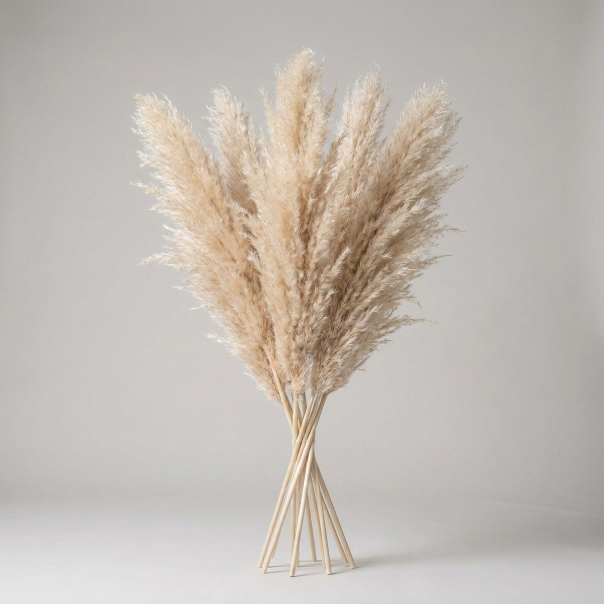 Faux Dried Prairie Plumes – Neutral Boho Stems for Vases & Bouquets | Thomler