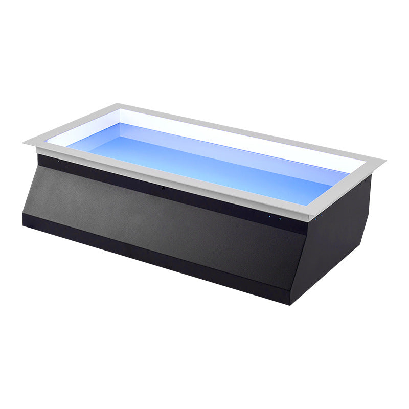 Ceiling Lamp Metal LED 60.0 cm x 30.0 cm Daylight Simulation Living Room Bedroom Recessed Smart Skylight Light | Thomler