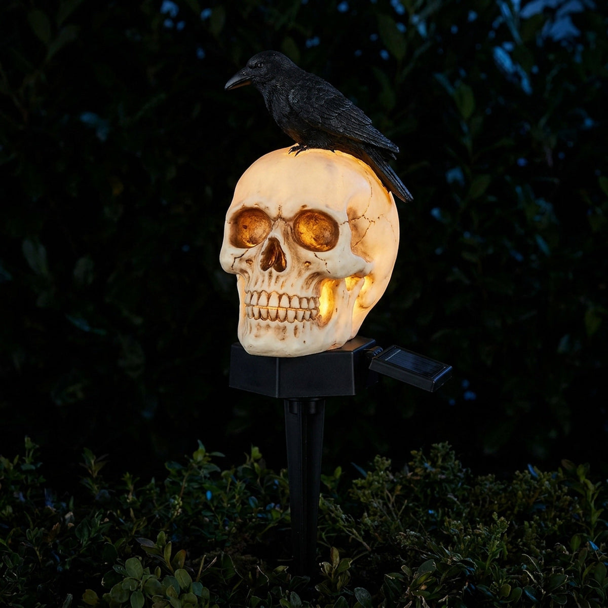 Solar Graveyard Skull with Crow Halloween Yard Decoration – Amber Glow LED Garden Ornament for Spooky Outdoor Display | Thomler