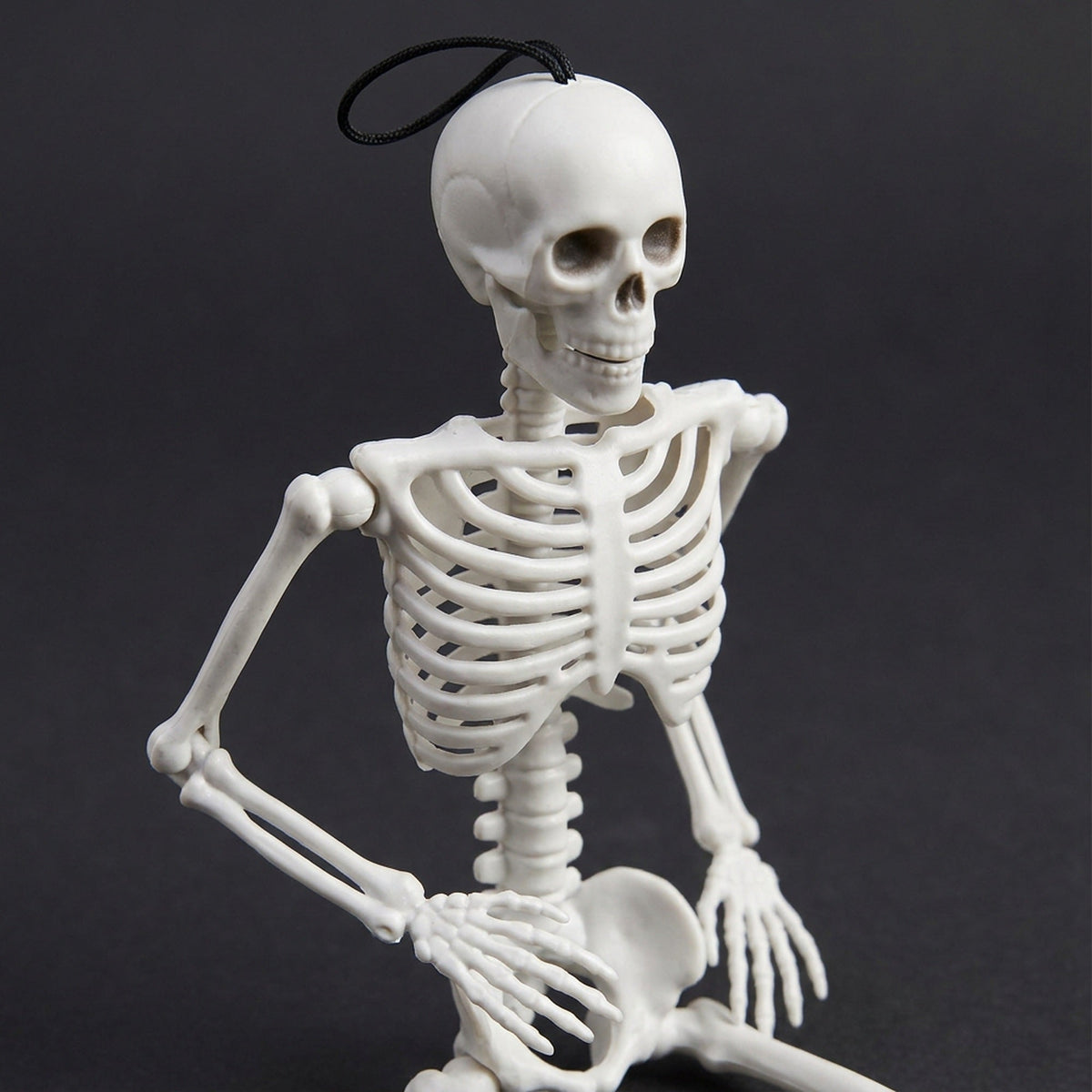 Articulated Tabletop Bone Figure – 16-Inch Movable Spooky Accent for Mantel, Shelf & Doorway Display – Adjustable Arms & Legs for Sitting | Thomler