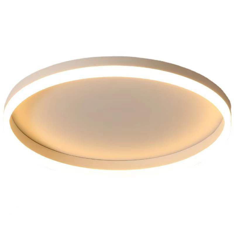 Flush Mount Ceiling Light Iron 19.7 in 30W Adjustable Hallway Living Room Bedroom LED Modern Lighting | Thomler