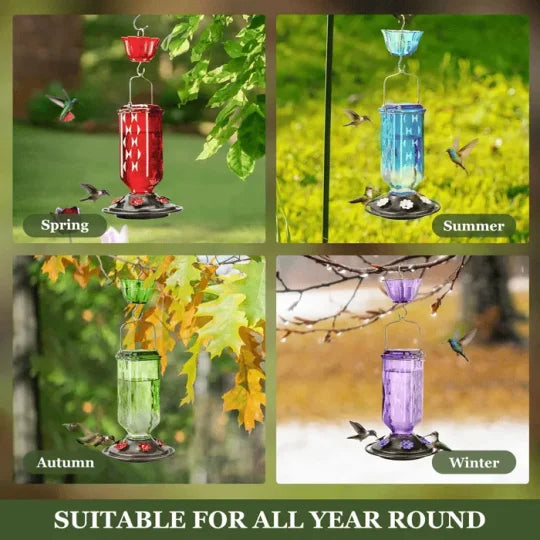 Glass Hummingbird Feeder with 6 Feeding Ports & Ant Moat – 24 fl oz Capacity for Backyard Birds | Thomler