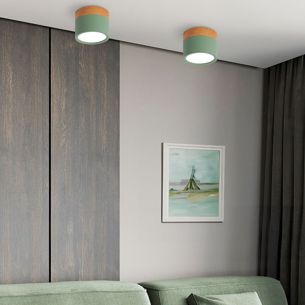 Ceiling Light Aluminium Wood LED 5W 7W Modern Hallway Living Room Surface Mount Lamp | Thomler
