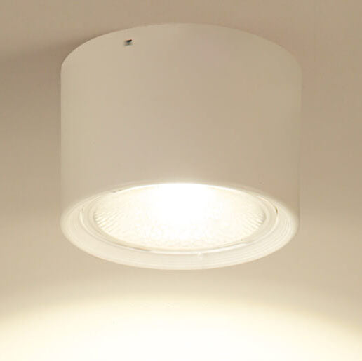 Adjustable Cylinder Spotlight – Surface Mount LED Ceiling Light – Directional Accent Fixture for Living Room, Hallway & Kitchen – Modern | Thomler