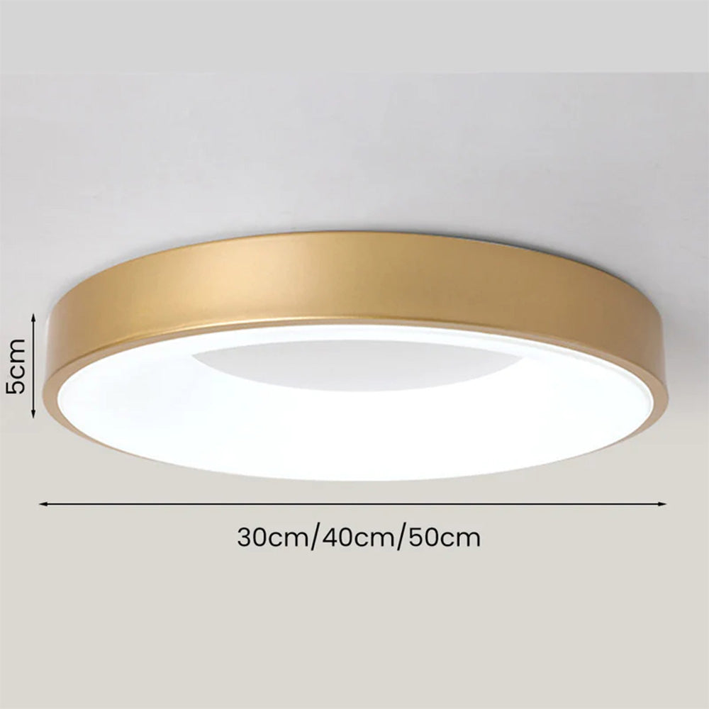 Ceiling Light Iron Acrylic LED 220–240V Round Low Ceiling Bedroom Hallway Flush Mount Living Room Lighting | Thomler