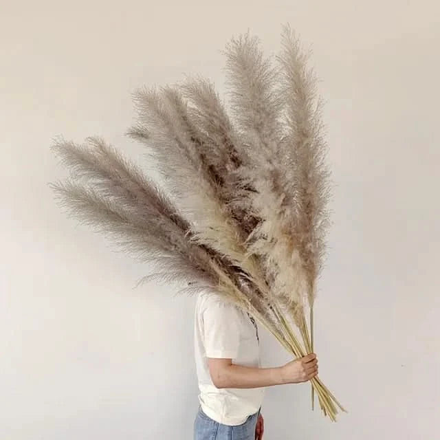Faux Dried Prairie Plumes – Neutral Boho Stems for Vases & Bouquets | Thomler