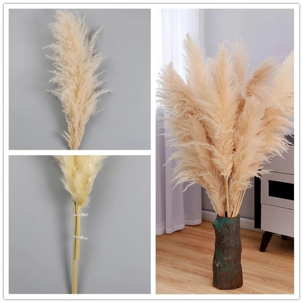 Faux Dried Prairie Plumes – Neutral Boho Stems for Vases & Bouquets | Thomler