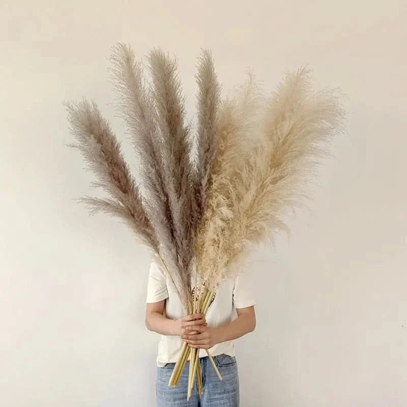Faux Dried Prairie Plumes – Neutral Boho Stems for Vases & Bouquets | Thomler
