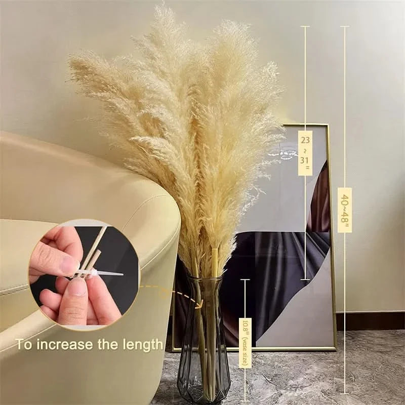 Faux Dried Prairie Plumes – Neutral Boho Stems for Vases & Bouquets | Thomler
