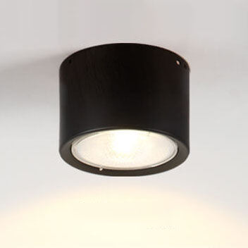 Adjustable Cylinder Spotlight – Surface Mount LED Ceiling Light – Directional Accent Fixture for Living Room, Hallway & Kitchen – Modern | Thomler