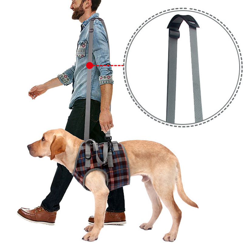 Rear Leg Support Harness for Dogs – Adjustable Lift Sling for Hip Stability, Arthritis & Mobility Assistance | Thomler