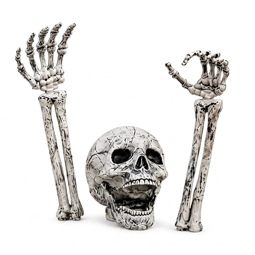 Ground-Emerging Skeleton Yard Stakes – Skull & Arms Halloween Lawn Decor for Outdoor Garden & Graveyard Scenes | Thomler
