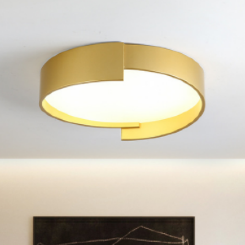 Contemporary Dual-Ring Flush Mount LED Ceiling Fixture for Dining Room & Entryway | Thomler