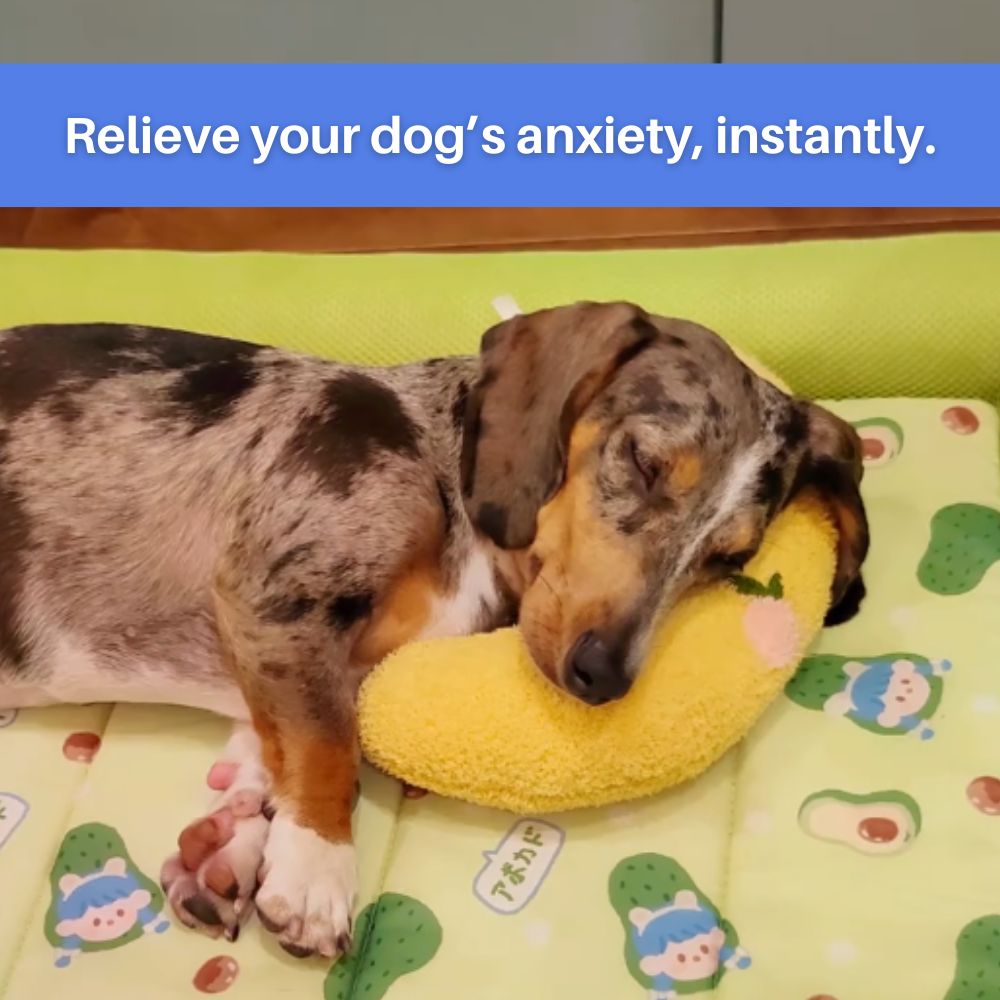 Bolstered Pet Bed for Dogs & Cats | Anxiety Relief Sleeping Cushion with Raised Edges | Machine Washable Portable Travel Pillow | Plush | Thomler