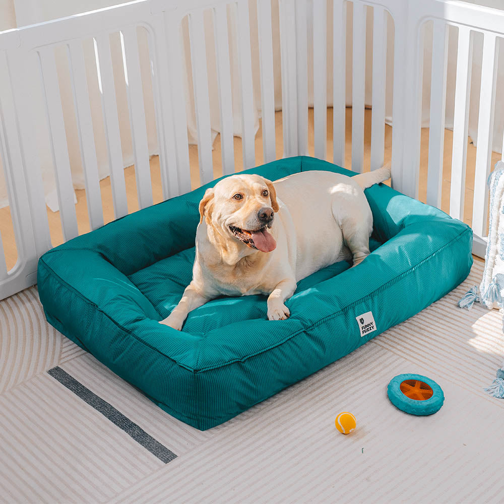 Raised-Edge Bolster Dog Bed with Joint-Relief Foam & Liquid-Proof Cover for Large Breeds | Thomler