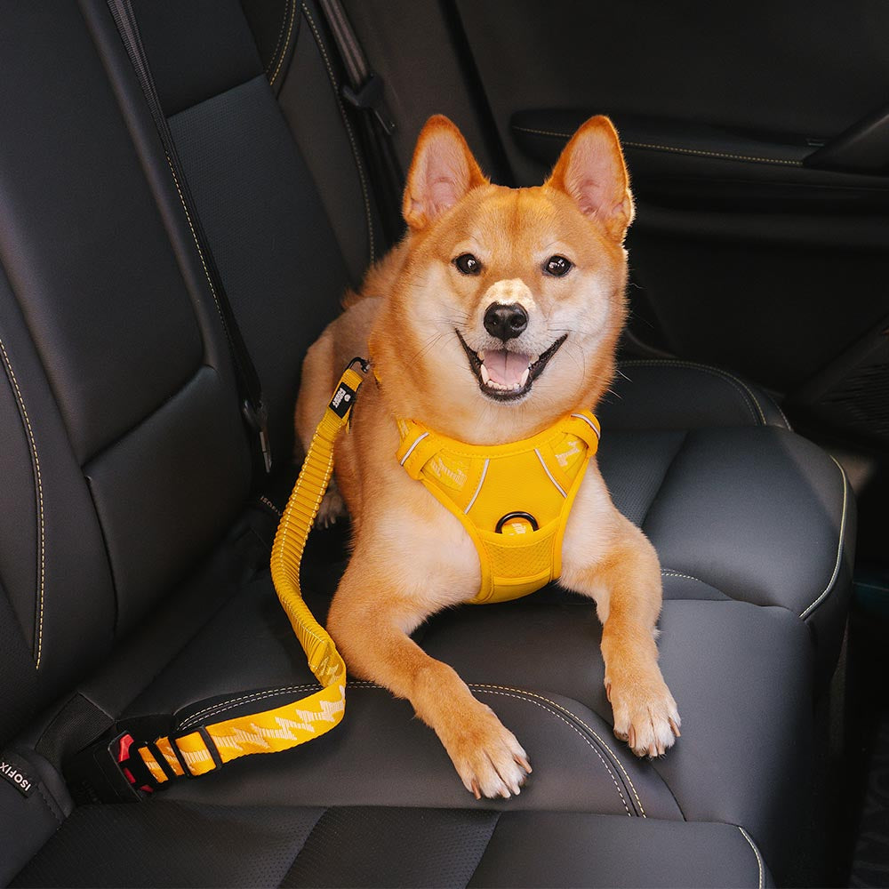 Adjustable Pet Safety Harness Tether for Car Travel with Reflective Strap & Elastic Shock Absorber for Dogs | Thomler