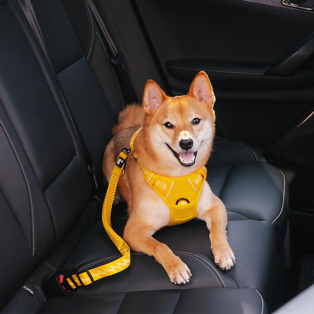 Adjustable Pet Safety Harness Tether for Car Travel with Reflective Strap & Elastic Shock Absorber for Dogs | Thomler