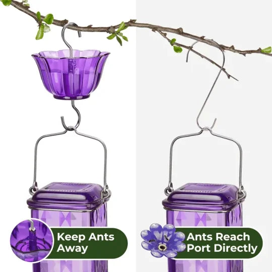 Glass Hummingbird Feeder with 6 Feeding Ports & Ant Moat – 24 fl oz Capacity for Backyard Birds | Thomler
