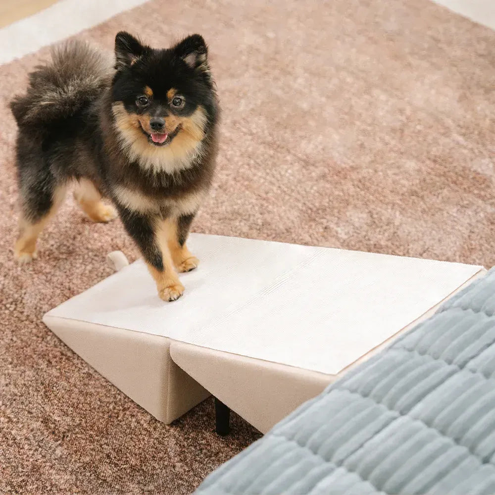 Pet Stairs with Anti-Slip Tread – Foldable 2-in-1 Ramp for Small Dogs, Seniors & Short Breeds – Velvet-Covered Step Platform for Couch & Bed | Thomler