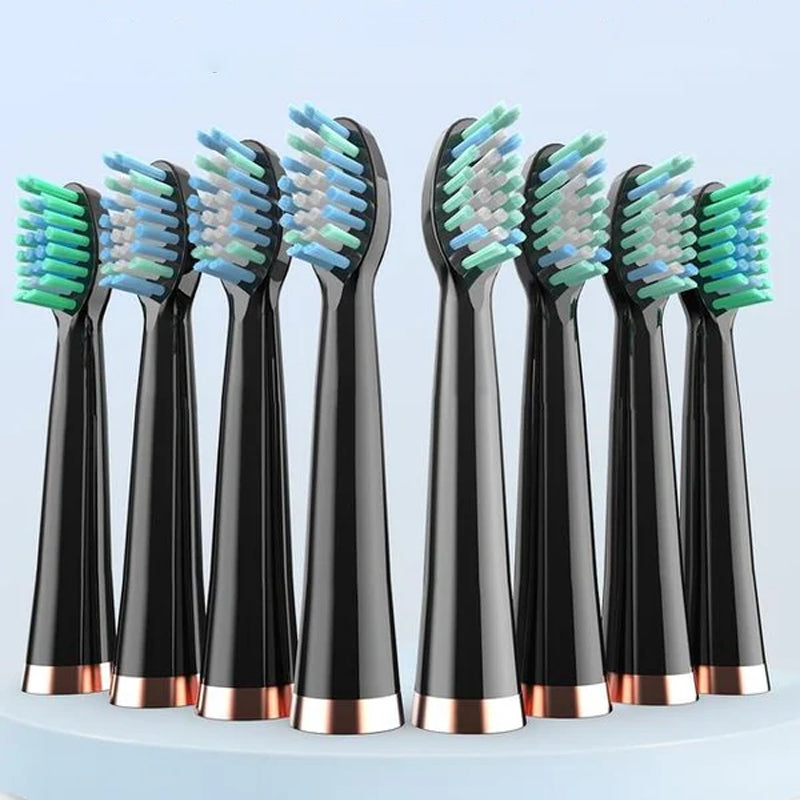 Rechargeable Sonic Toothbrush with 6 Cleaning Modes IPX7 Waterproof Electric Toothbrush 40000 VPM for Daily Oral Care Adults Dental Hygiene | Thomler