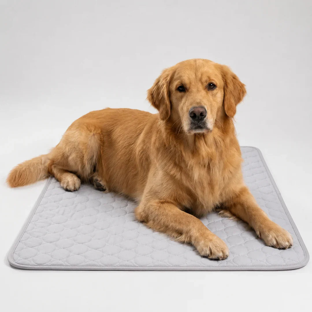 Machine-Washable Cool-Touch Pet Bed Pad for Dogs & Cats – Travel-Ready Foldable Chill Blanket for Summer Heat Relief, 6 Size Options for | Thomler